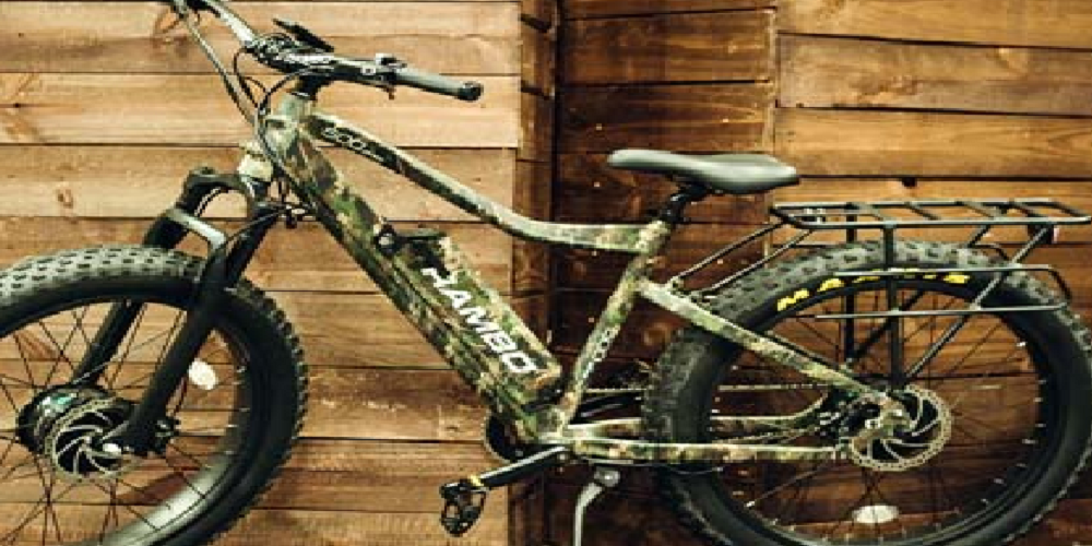 Dual Motor Electric Bike: Main Features and Working