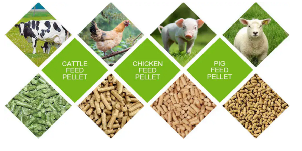 How Feed Pellet Mills are Beneficial for Farmers?