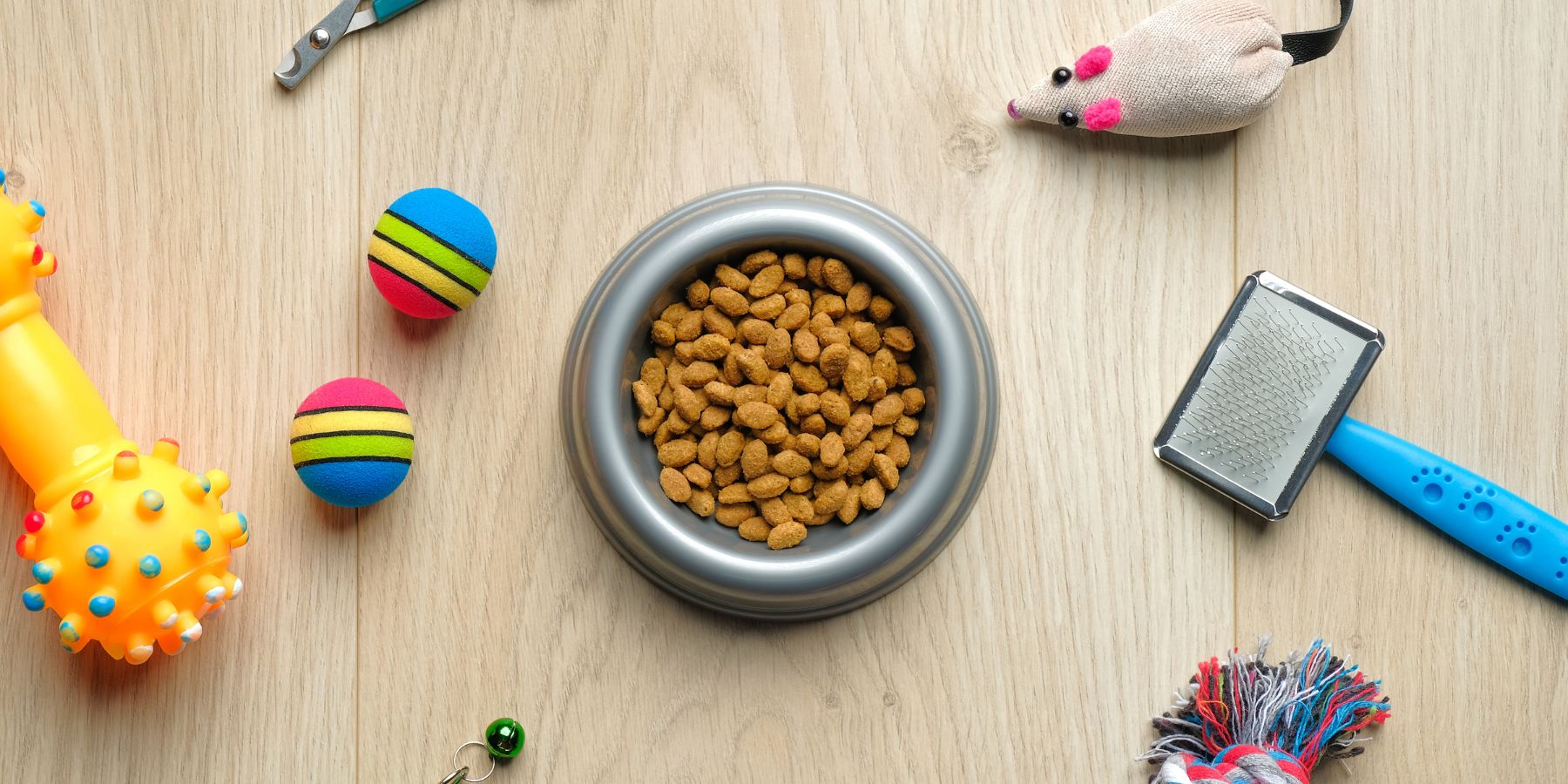 New Cat Checklist - 15 Items Your Cat Absolutely Needs