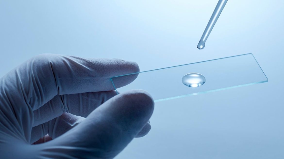 Why Huida s Super White Glass Slides are the Best for Laboratories